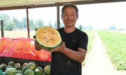 邵阳最新吃瓜爆料,揭秘神秘事件背后的真相！