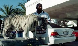 王老虎被爆料视频大全,揭秘事件背后真相